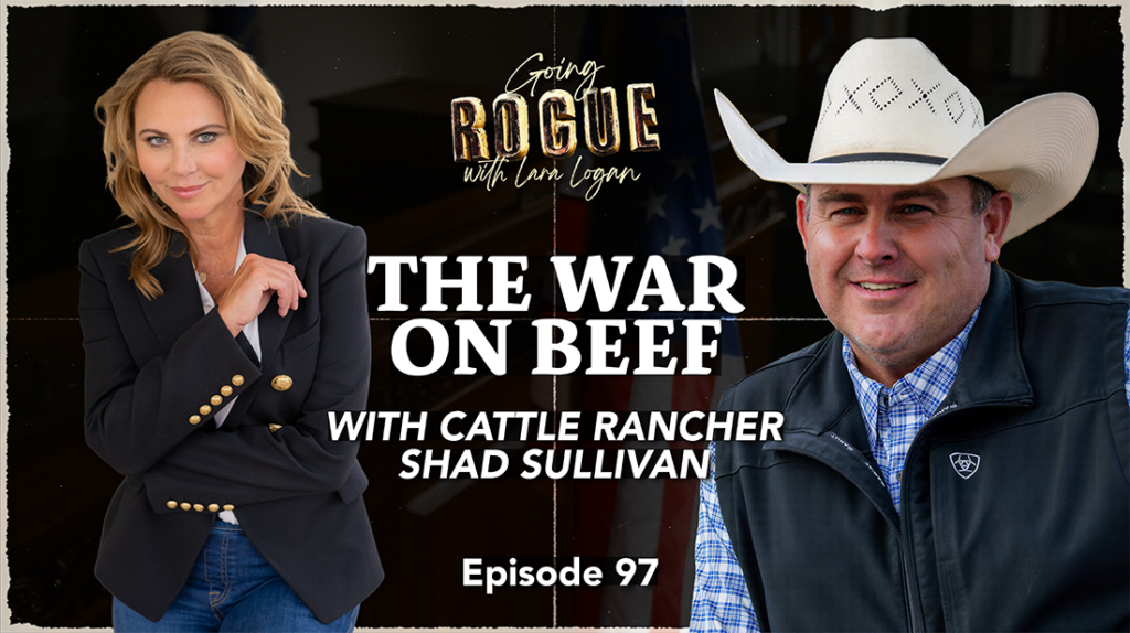 EP97 SHAD SULLIVAN THUMBNAIL SM